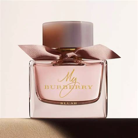 most popular burberry women's perfume|which burberry scents smells best.